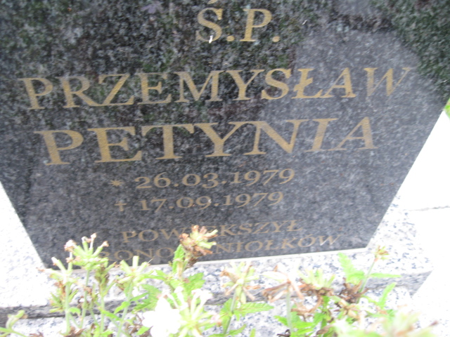 Przemysław Petynia 1979 Kłodzko - Grobonet - Wyszukiwarka osób pochowanych